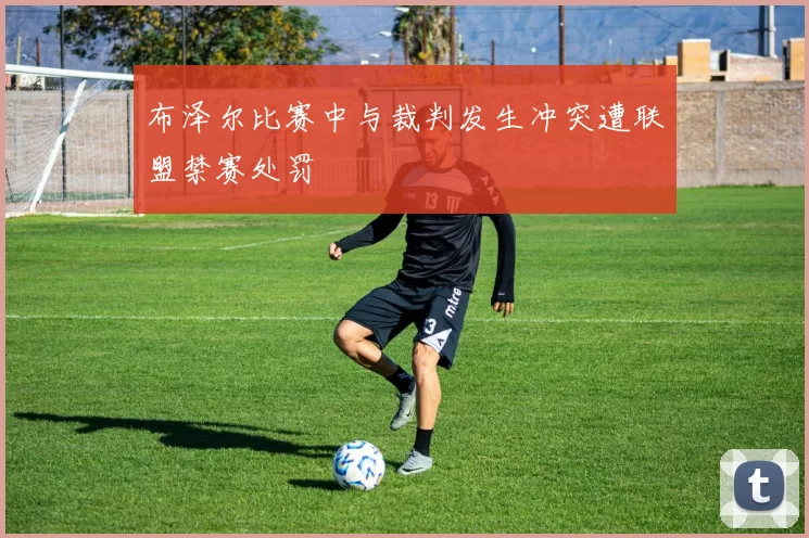 布泽尔比赛中与裁判发生冲突遭联盟禁赛处罚