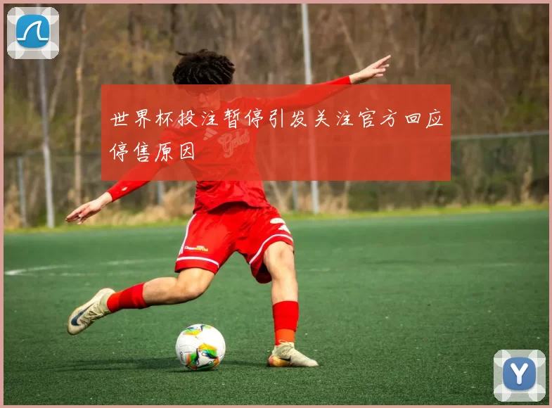 世界杯投注暂停引发关注官方回应停售原因