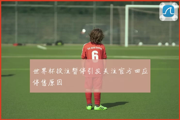 世界杯投注暂停引发关注官方回应停售原因